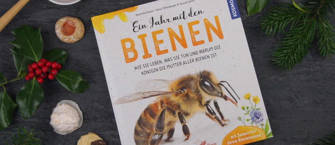 Es summt im Bücherregal: Bienenstarke Buchtipps