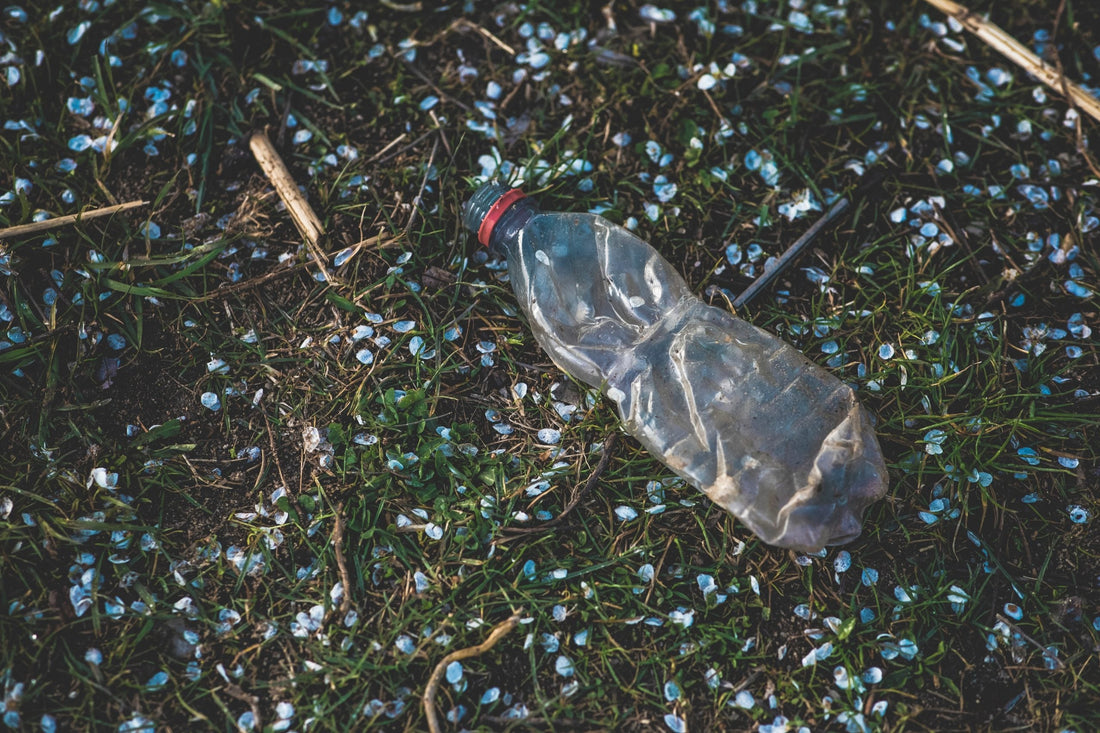 Plastic Free July: Wie du mitmachen kannst