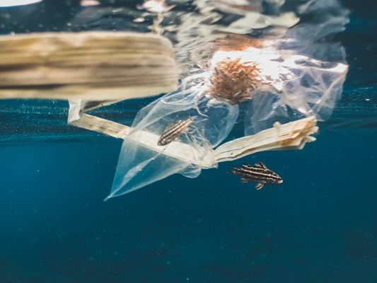 Was ist Mikroplastik?