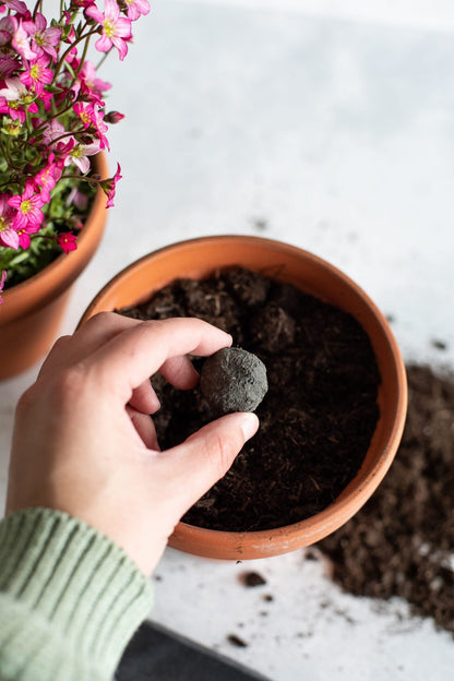 littlebeefresh_Garten_hf_story-15