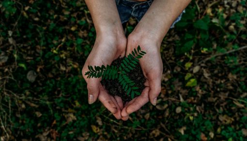 zero waste tipps, die nicht viel kosten