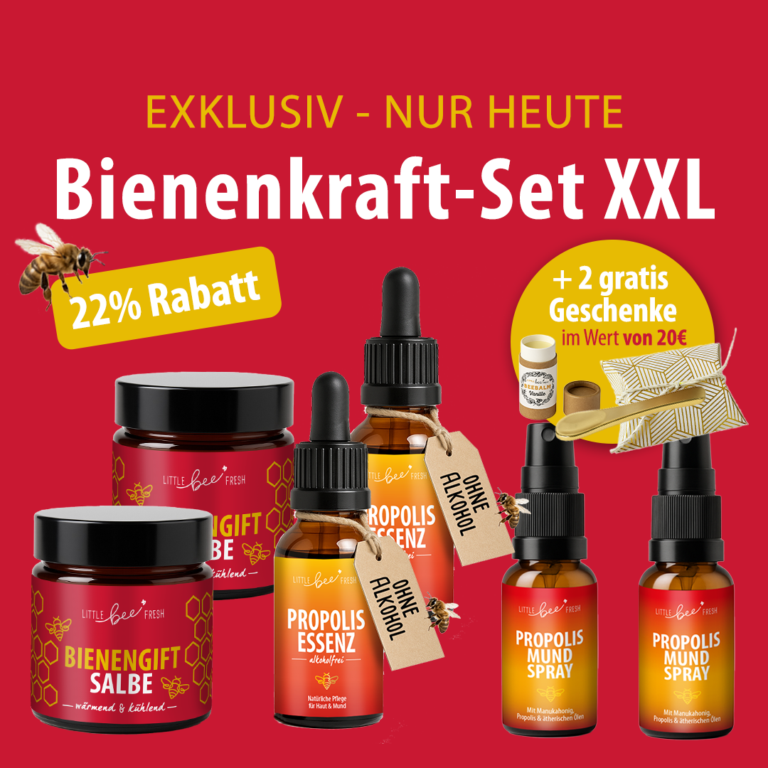 LBF Bundles VIP Day Kopie