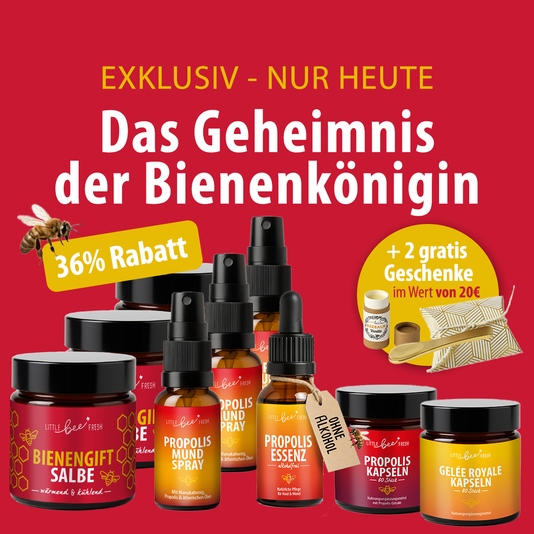 LBF Bundles VIP Day Kopie 2