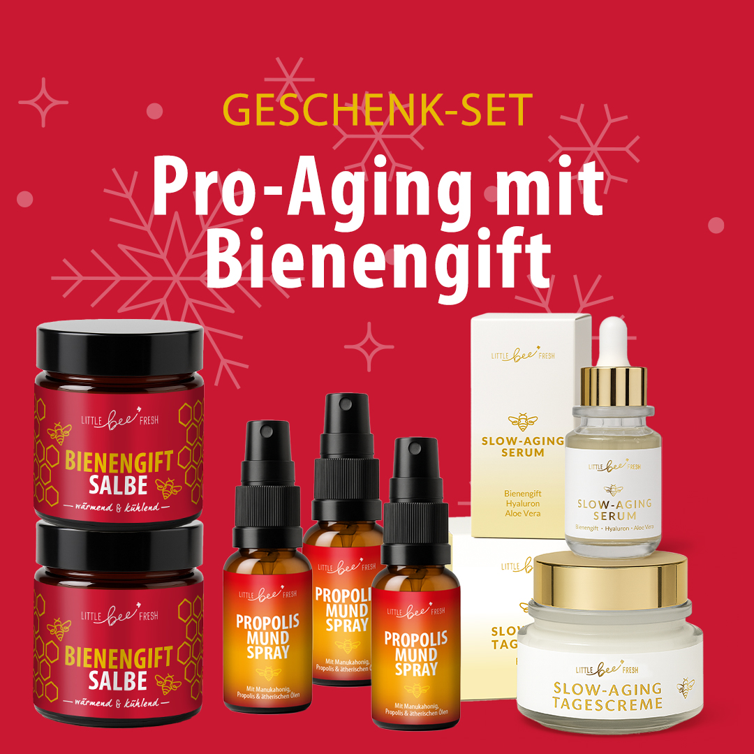 LBF Bundles Weihnachten Kopie 2